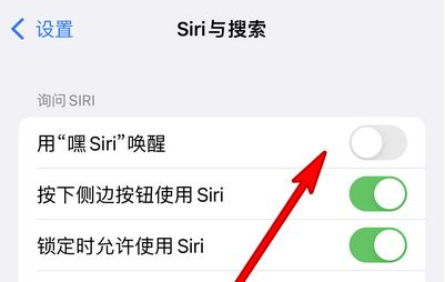 青阳苹果13维修分享iPhone 13怎么唤醒 Siri  